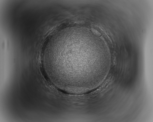 X0000087671397200705111148