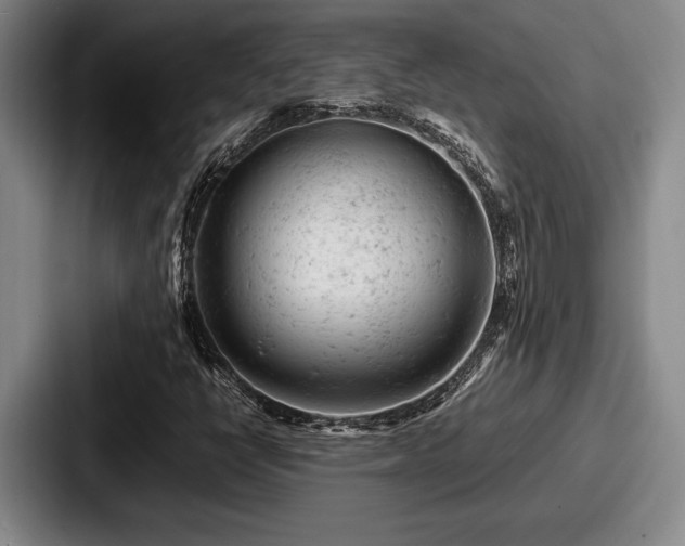 X0000087671398200705111148