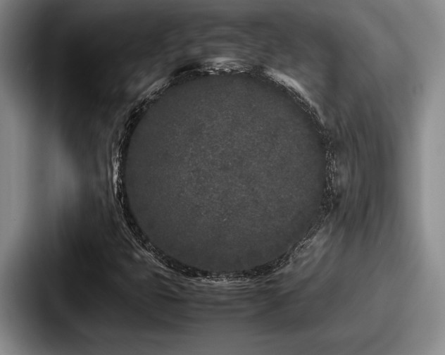 X0000087671399200705111148