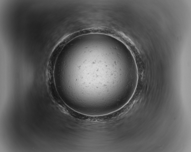 X0000087671400200705111148