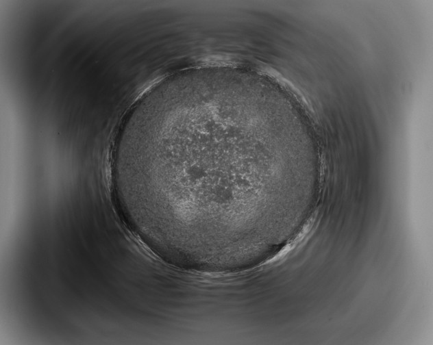 X0000087671401200705111148