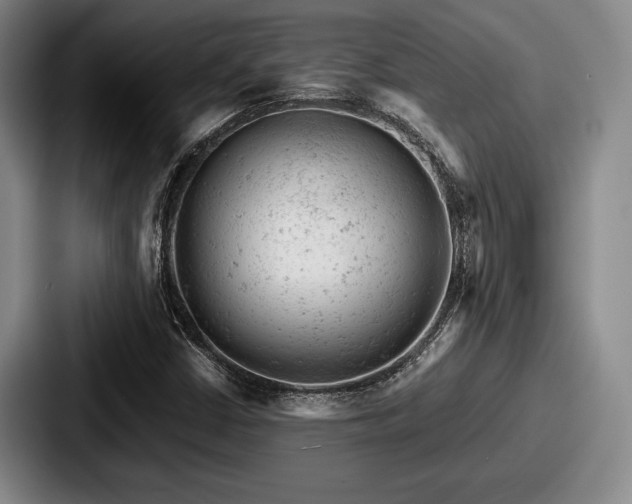 X0000087671402200705111148