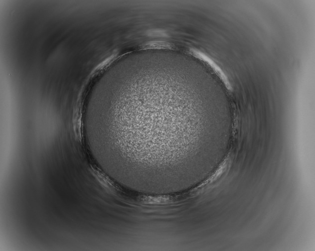 X0000087671403200705111148