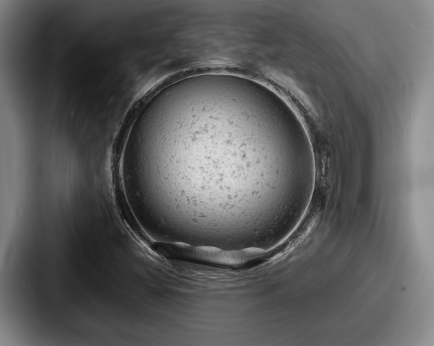 X0000087671404200705111148