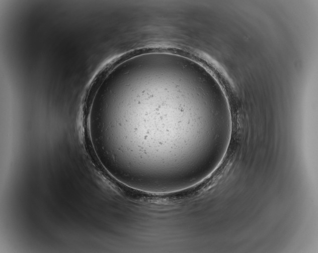 X0000087671408200705111148