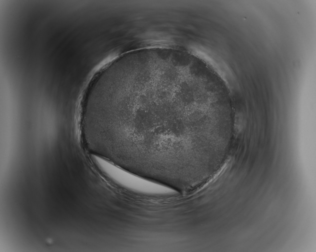 X0000087671411200705111148