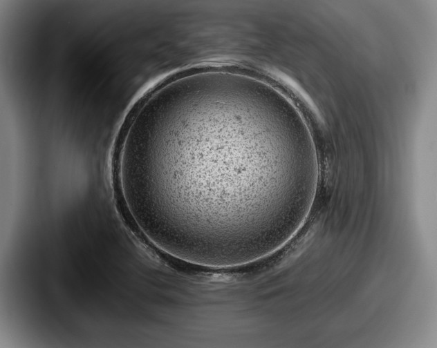 X0000087671412200705111148