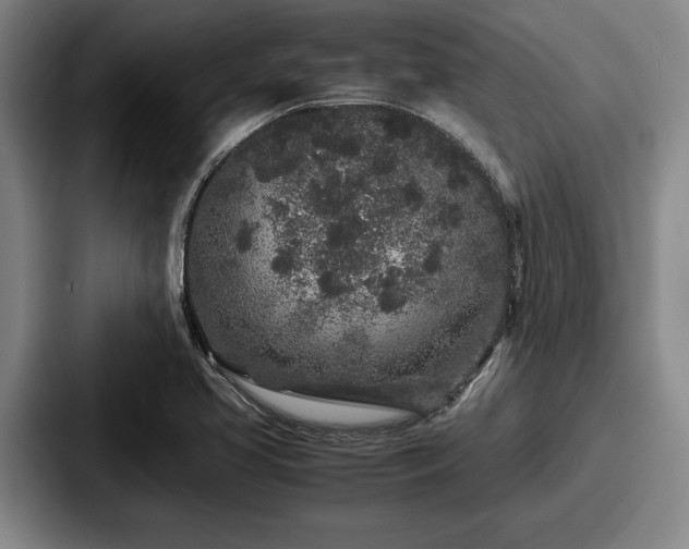 X0000087671413200705111148