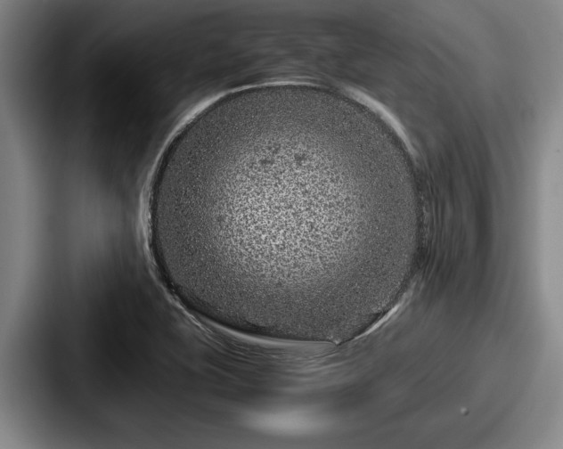 X0000087671415200705111148