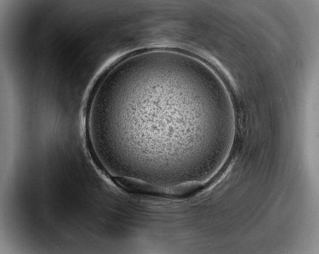 X0000087671416200705111148