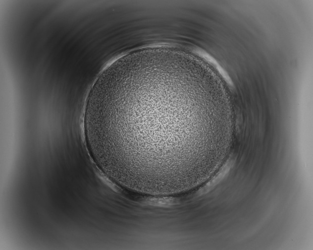 X0000087671417200705111148