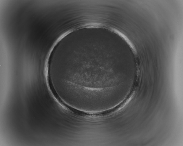 X0000087671418200705111148