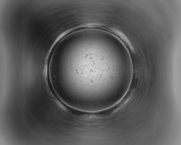 X0000087671420200705111148