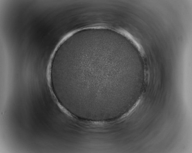 X0000087671421200705111148