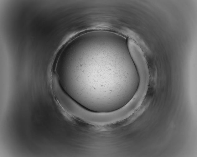 X0000087671422200705111148