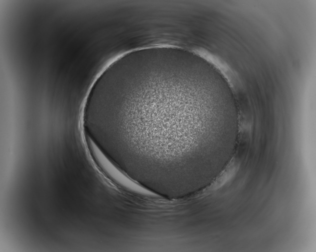 X0000087671423200705111148