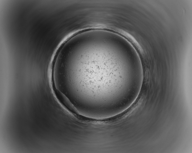 X0000087671424200705111148