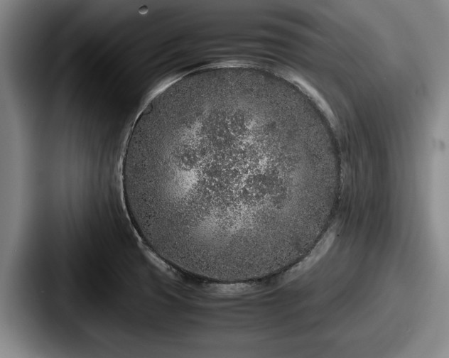 X0000087671425200705111148