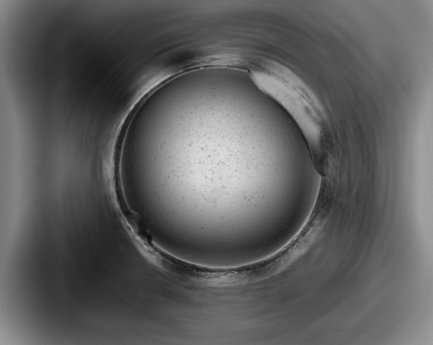 X0000087671426200705111148