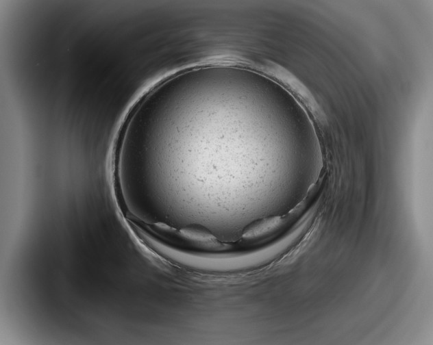 X0000087671430200705111148