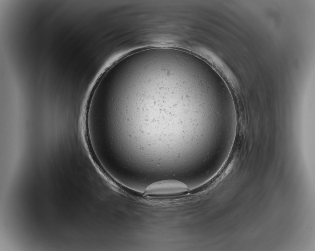 X0000087671432200705111148