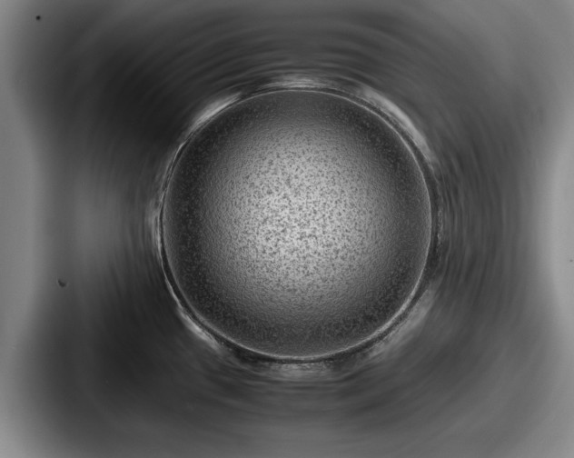 X0000087671433200705111148