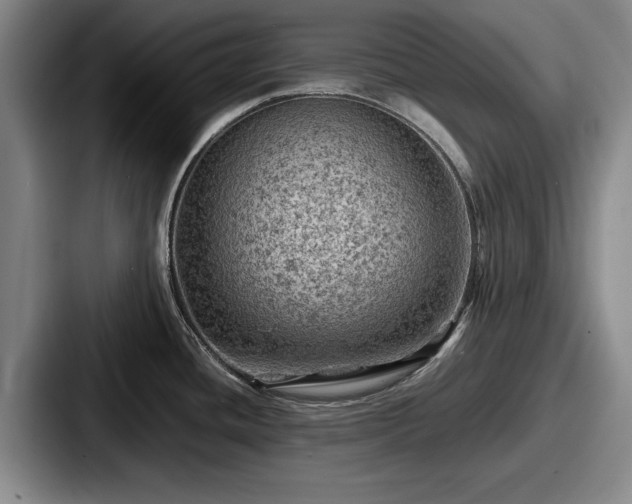 X0000087671436200705111149