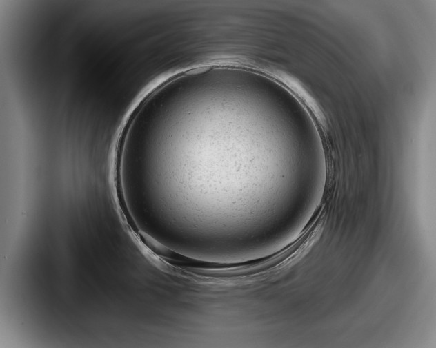 X0000087671438200705111149