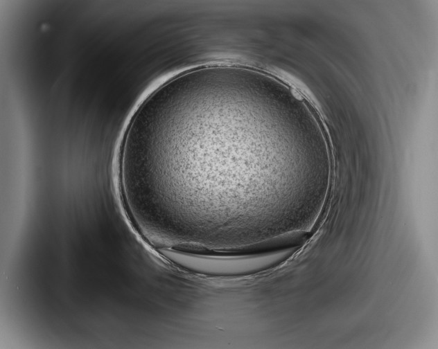 X0000087671440200705111149