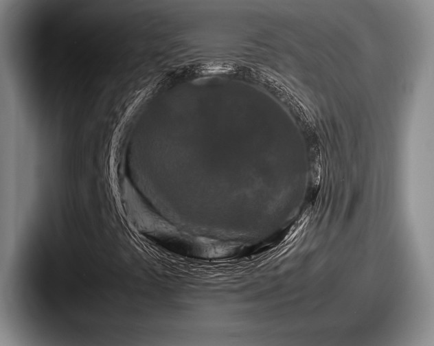 X0000087671441200705111148