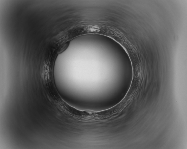 X0000087671442200705111148