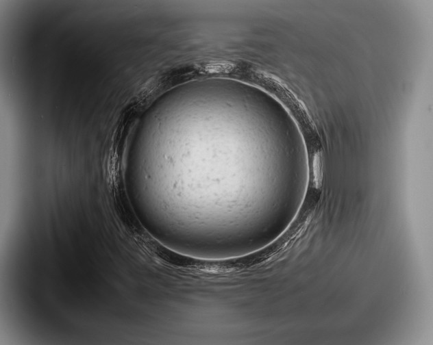 X0000087671443200705111148