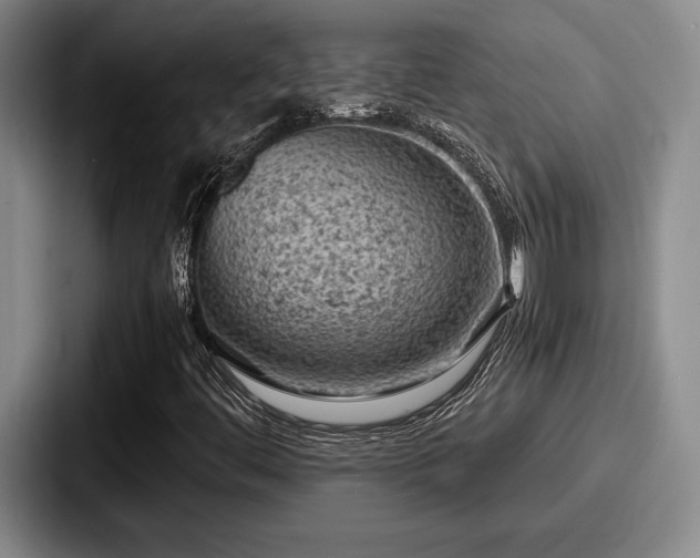 X0000087671444200705111148