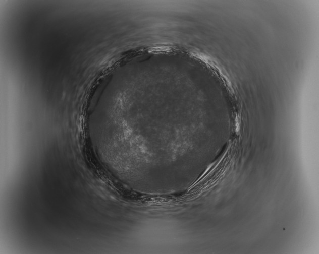 X0000087671445200705111148