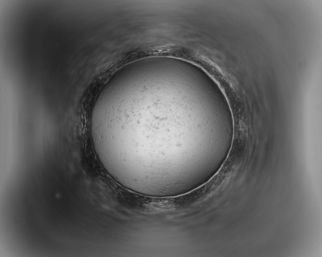 X0000087671447200705111148