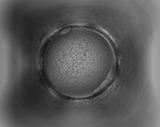 X0000087671448200705111148