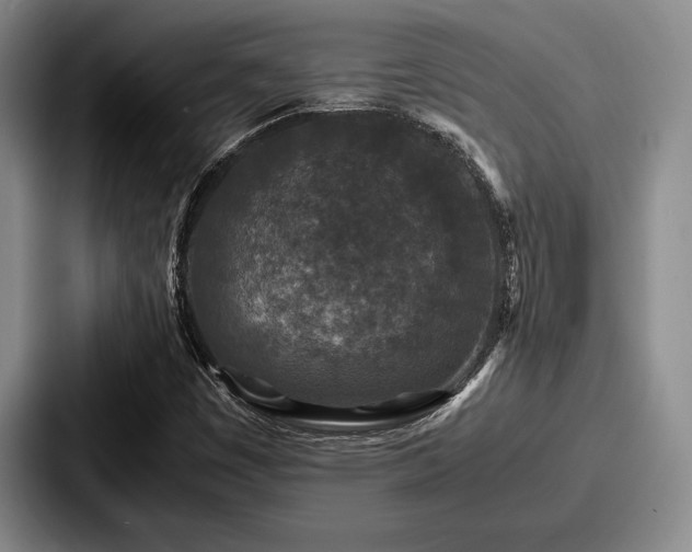 X0000087671449200705111148