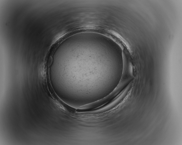 X0000087671450200705111148