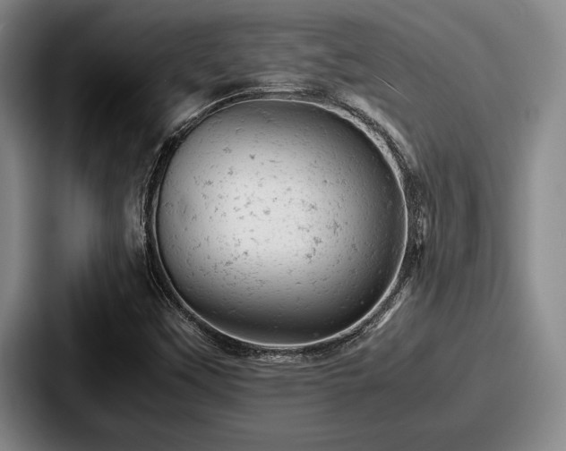 X0000087671451200705111148