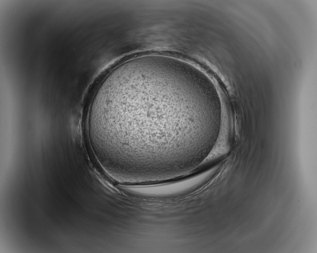 X0000087671452200705111148