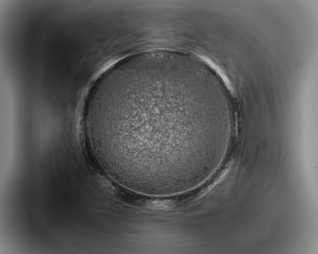 X0000087671453200705111148