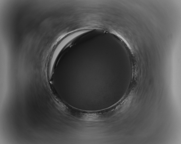 X0000087671455200705111148