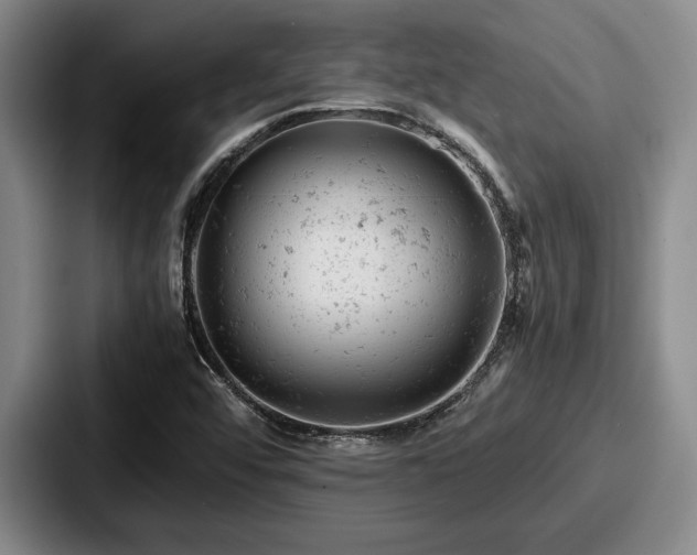 X0000087671456200705111148