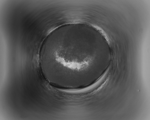 X0000087671457200705111148