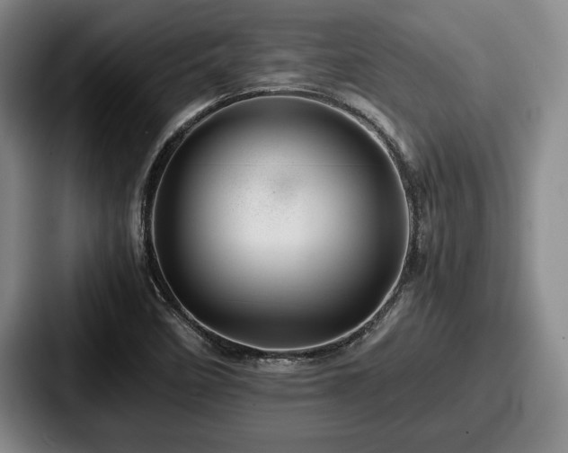 X0000087671458200705111148