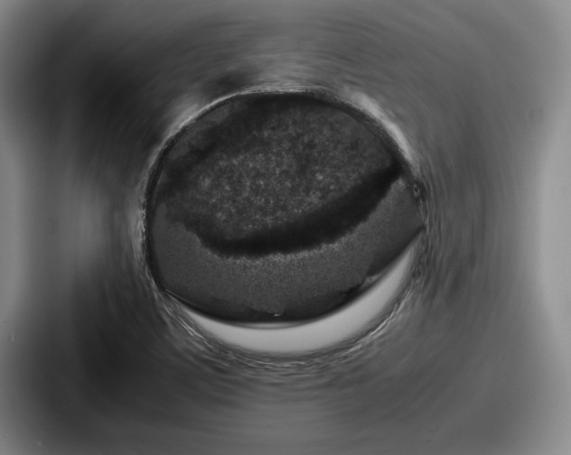 X0000087671459200705111148