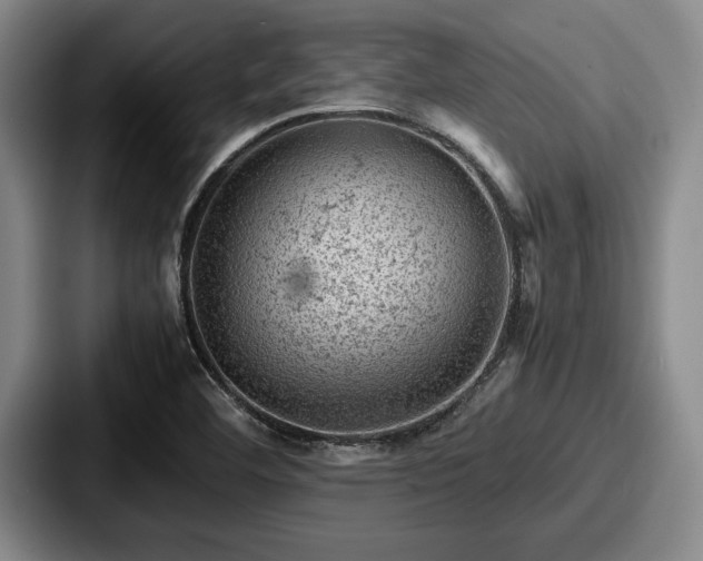 X0000087671460200705111148