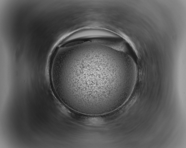 X0000087671464200705111148