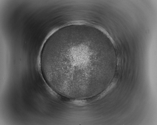 X0000087671466200705111148