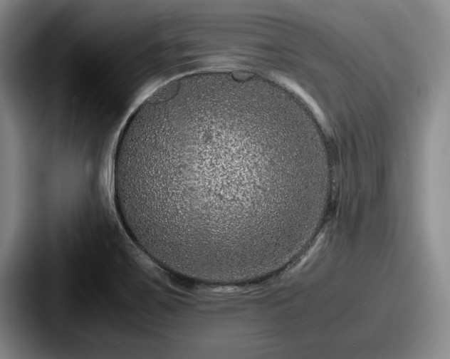 X0000087671467200705111148